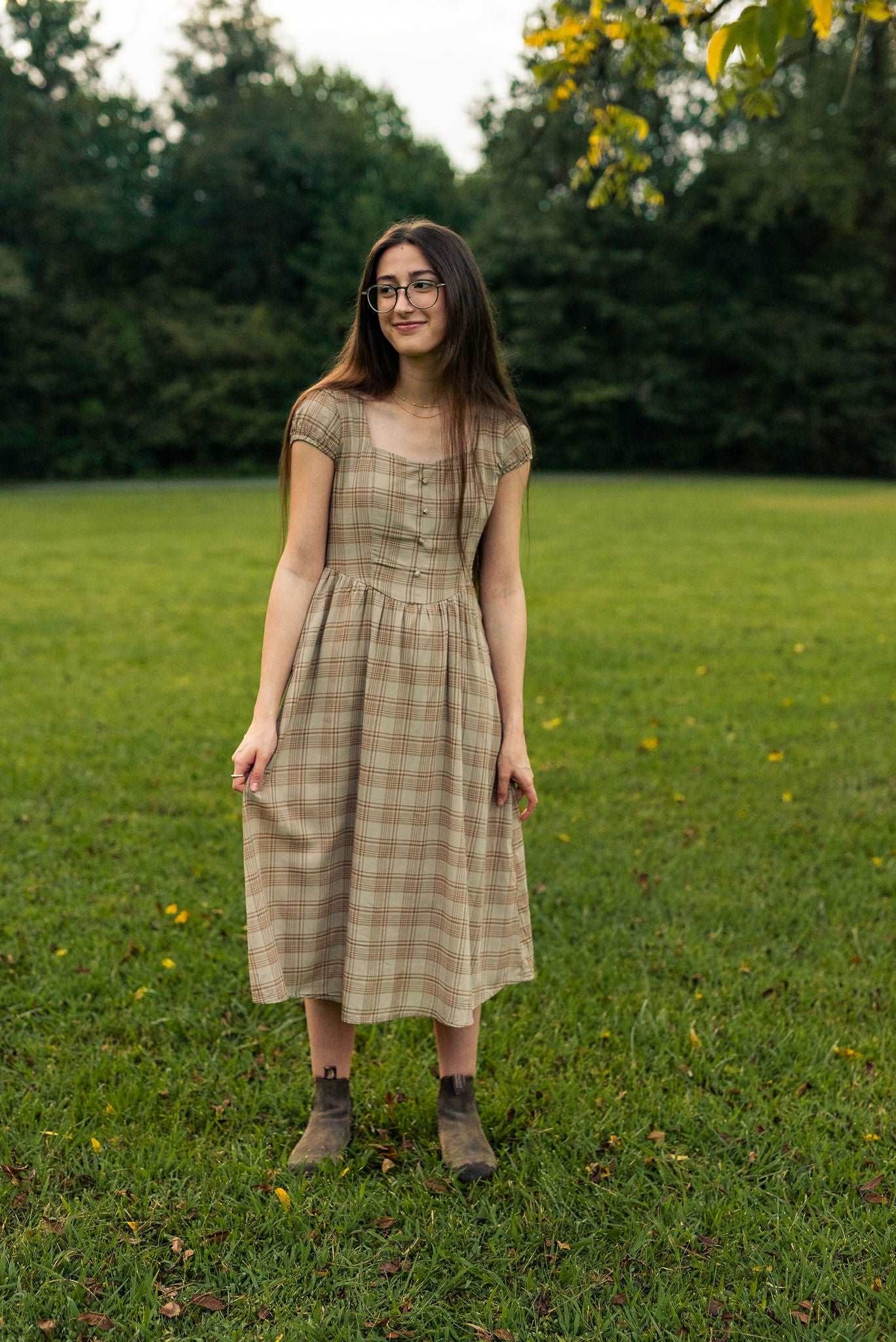 Chestnut Dress