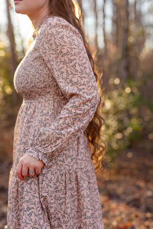 Appalachian Rose Dress